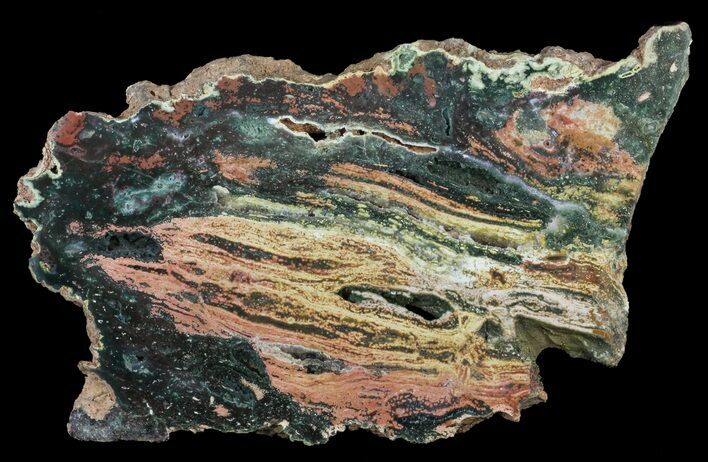 Orbicular Ocean Jasper Slab with Druze - Madagascar #60556